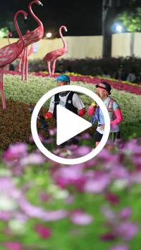 BIB:  <button type="button" onclick="openModal(27590027)" class="btn btn-primary btn-sm float-right" data-toggle="modal" data-target=".modal-high-quality">
                <i class="fa fa-download"></i> Download
                </button>